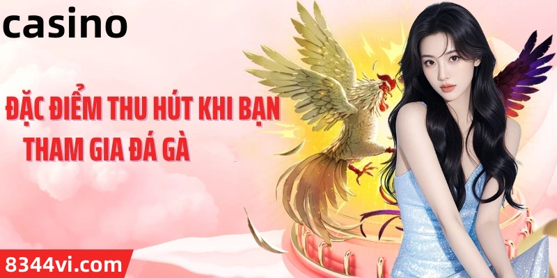 Hình ảnh quảng cáo của tin88 hiển thị nền tảng và các lợi ích